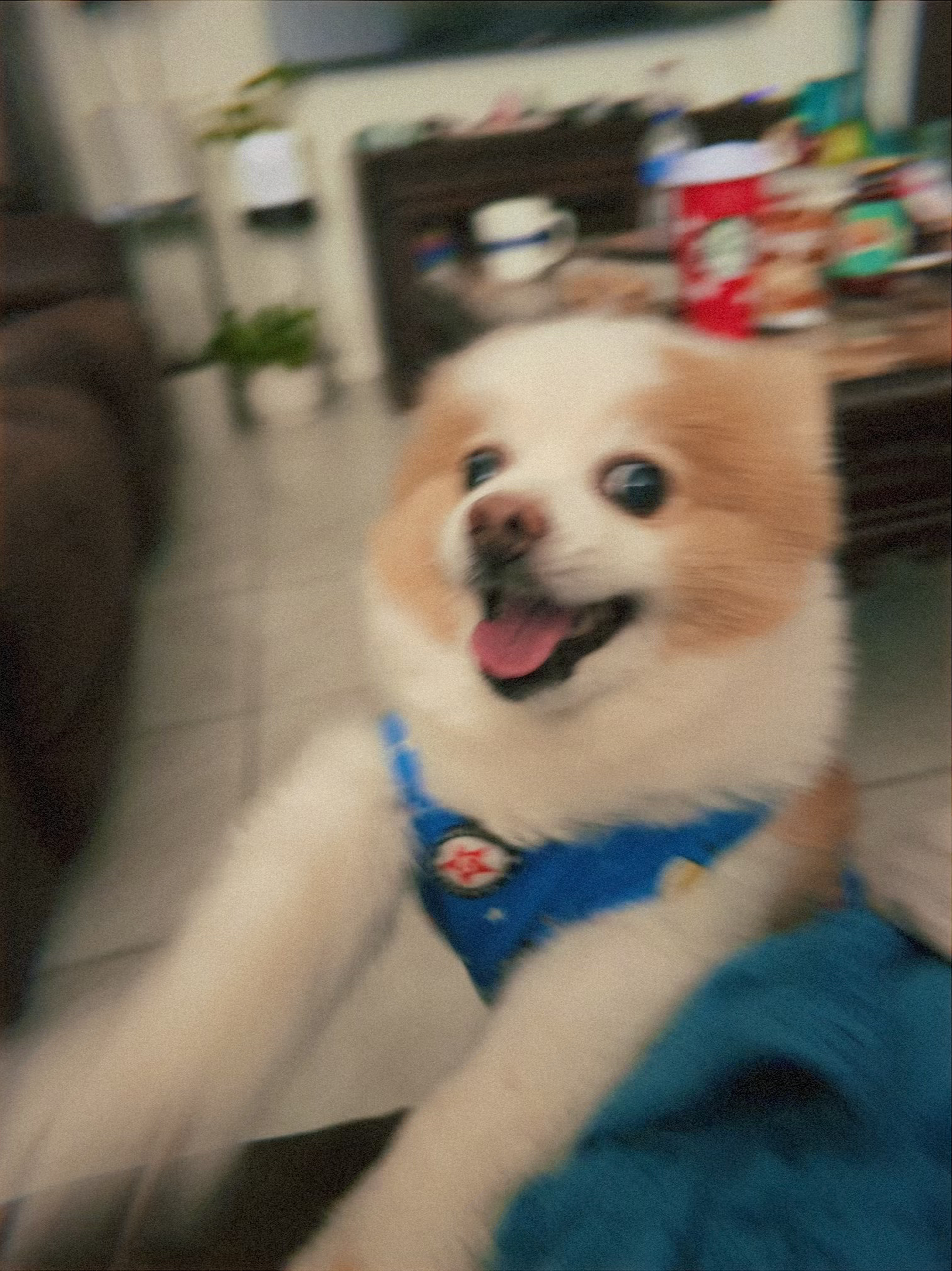 Fluffy being derpy